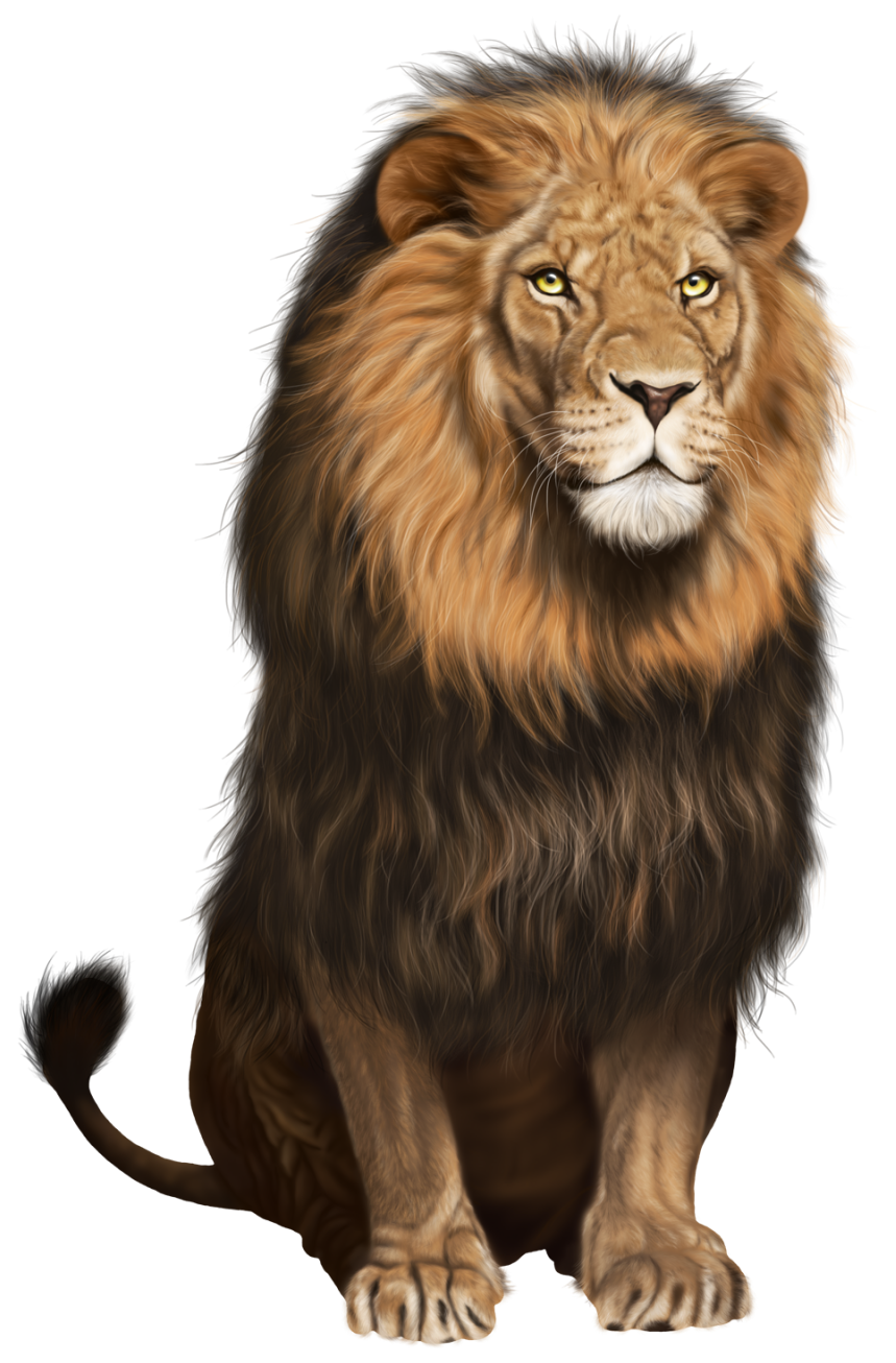 Realistic Lion Cliparts