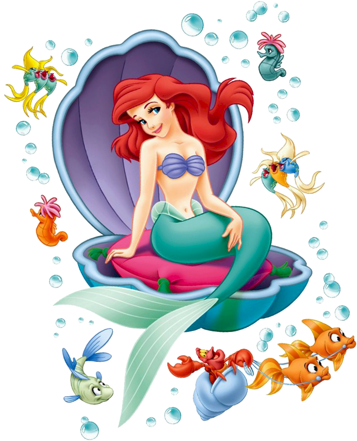 Seashells little mermaid.
