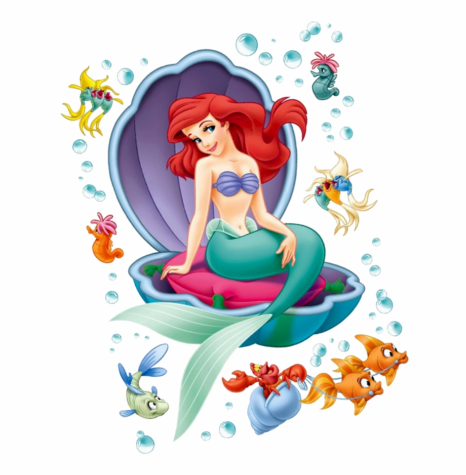 Seashells Little Mermaid