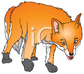 Lobo clipart images.