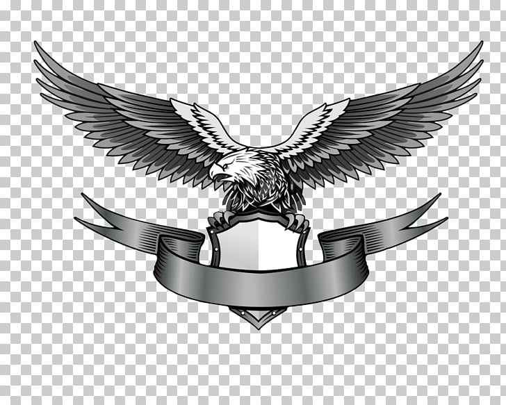 Eagle Logo , Eagle Logo , eagle holding shield logo PNG