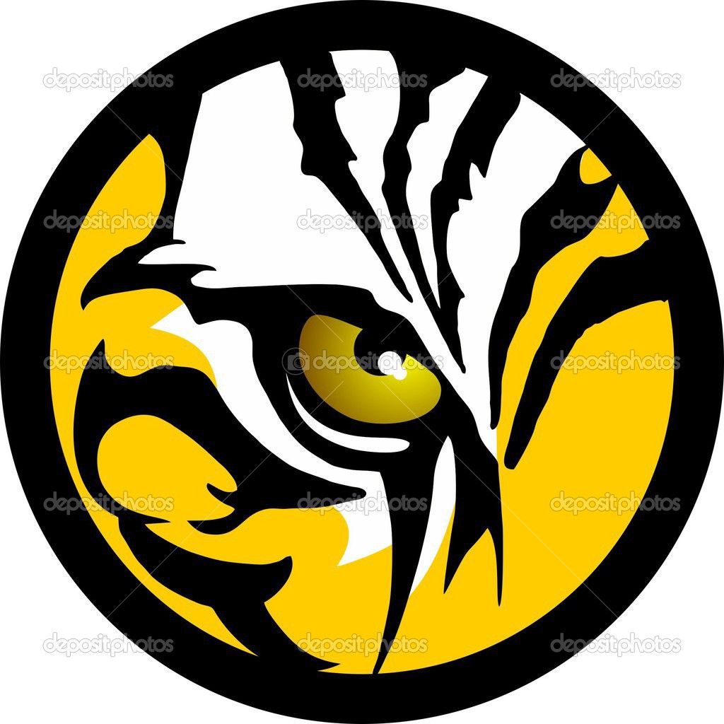 Tiger eyes vector.