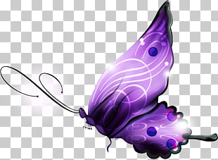 333 magic butterfly.
