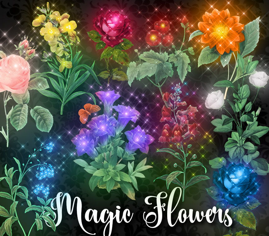 Magic Flower Clipart