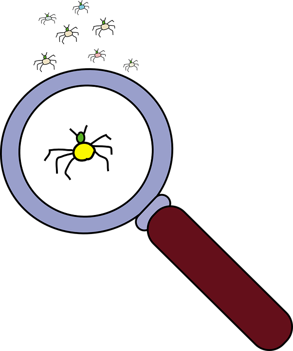 magnifying glass clipart bug