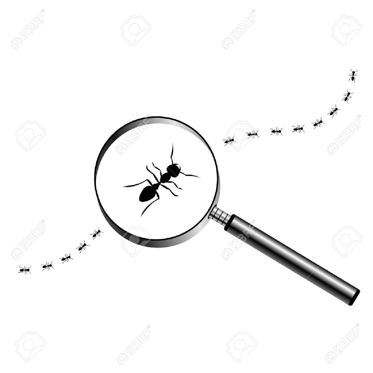 Magnifying Glass Clipart Black And White