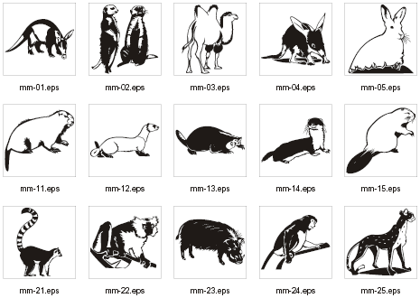 Free Mammal Cliparts, Download Free Clip Art, Free Clip Art
