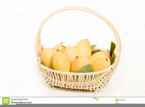 Clipart Basket Of Mangoes