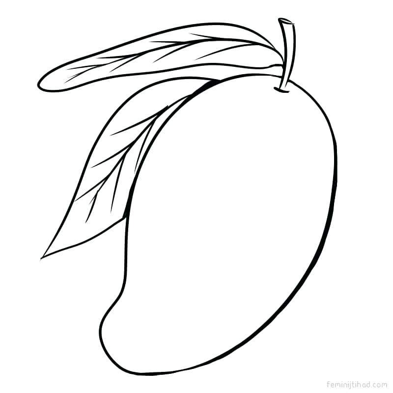 Mango drawing free.