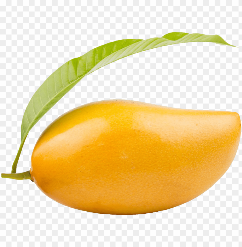 Mango png clipart.