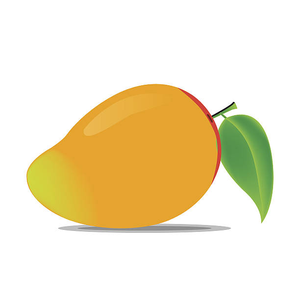 Free mango clipart.