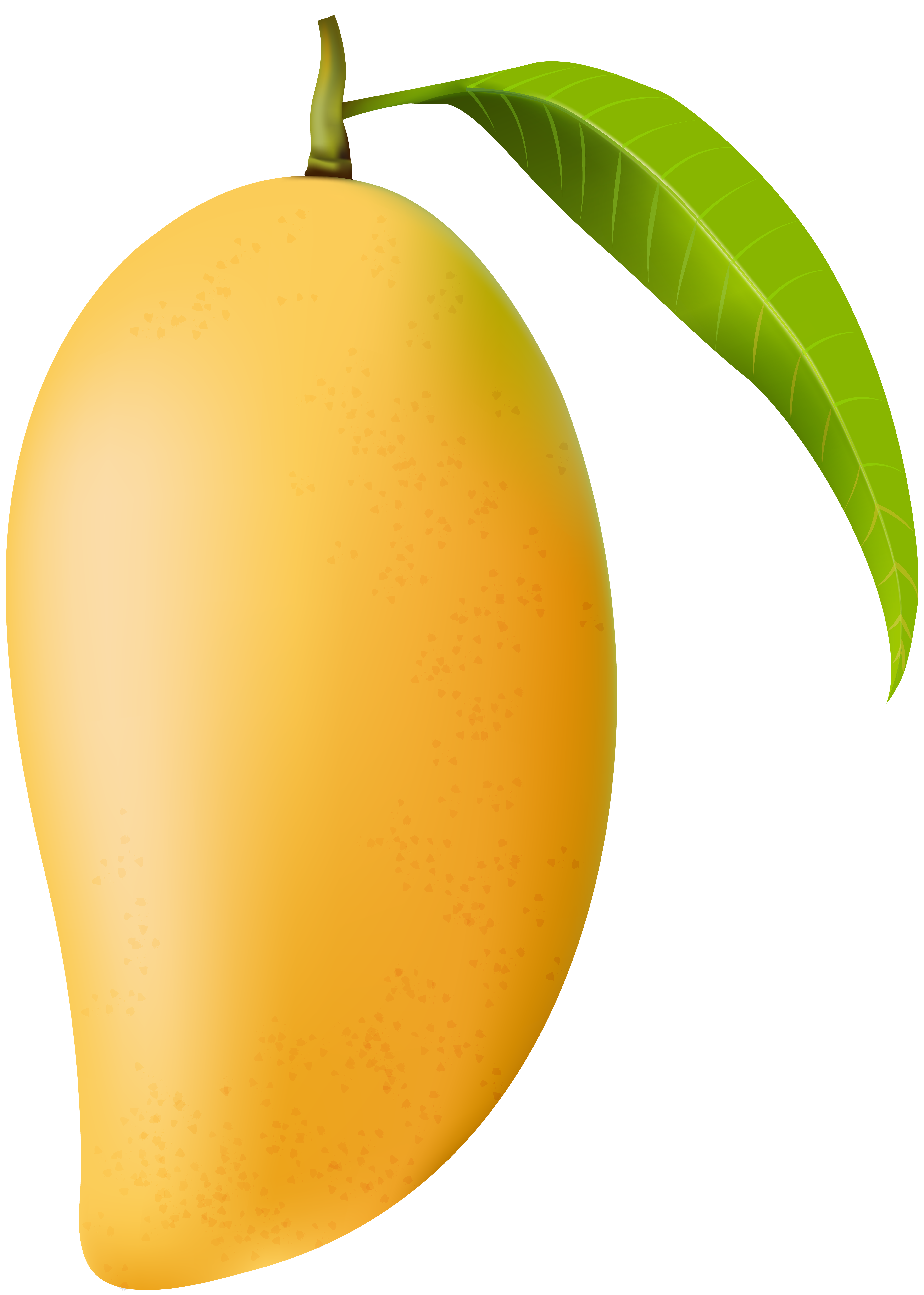 Mango png clip.