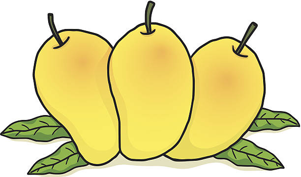 Collection of Mango clipart