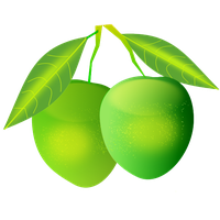 Download Mango Free PNG photo images and clipart