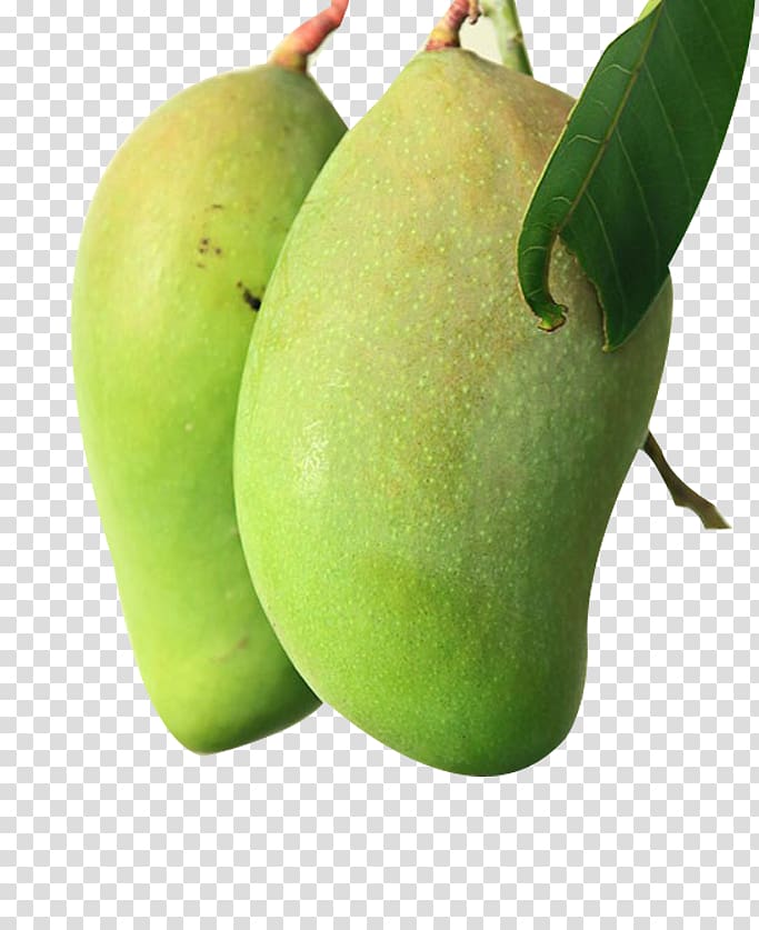 Two mangoes , Smoothie Mango Fruit, Two mangoes transparent