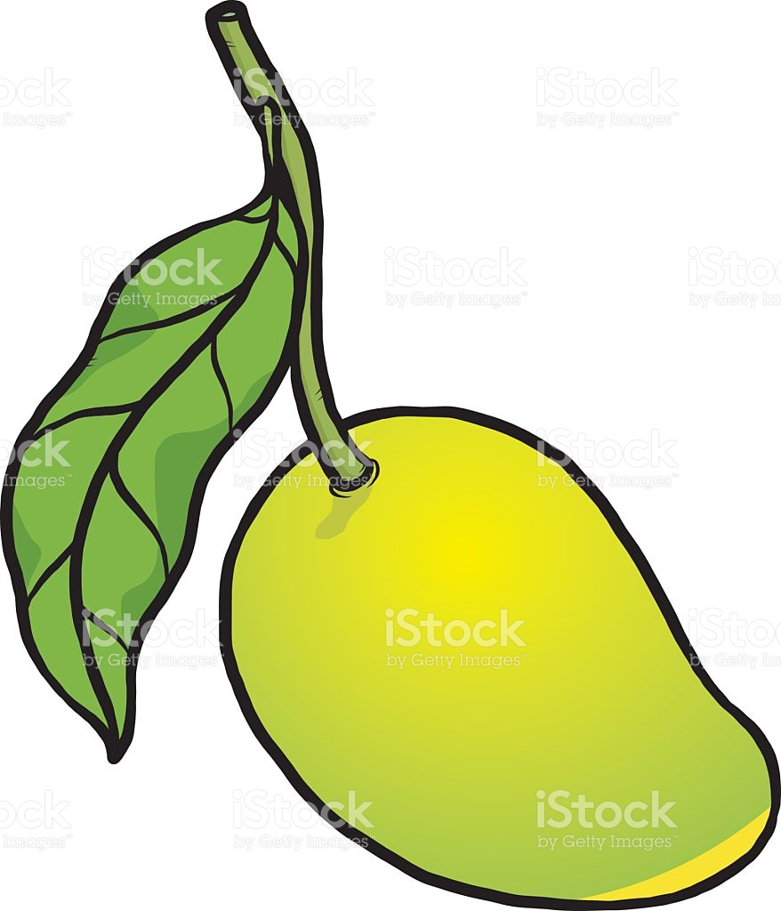 Green mango clipart