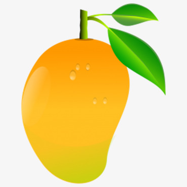 Yellow mango clipart.