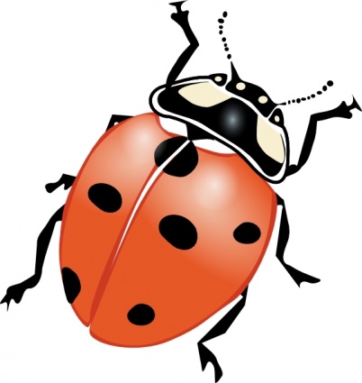Ladybug clip art.
