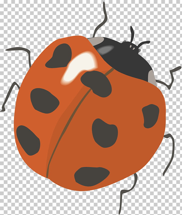 marienkäfer clipart ladybug