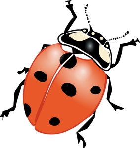 7591 cartoon ladybug.