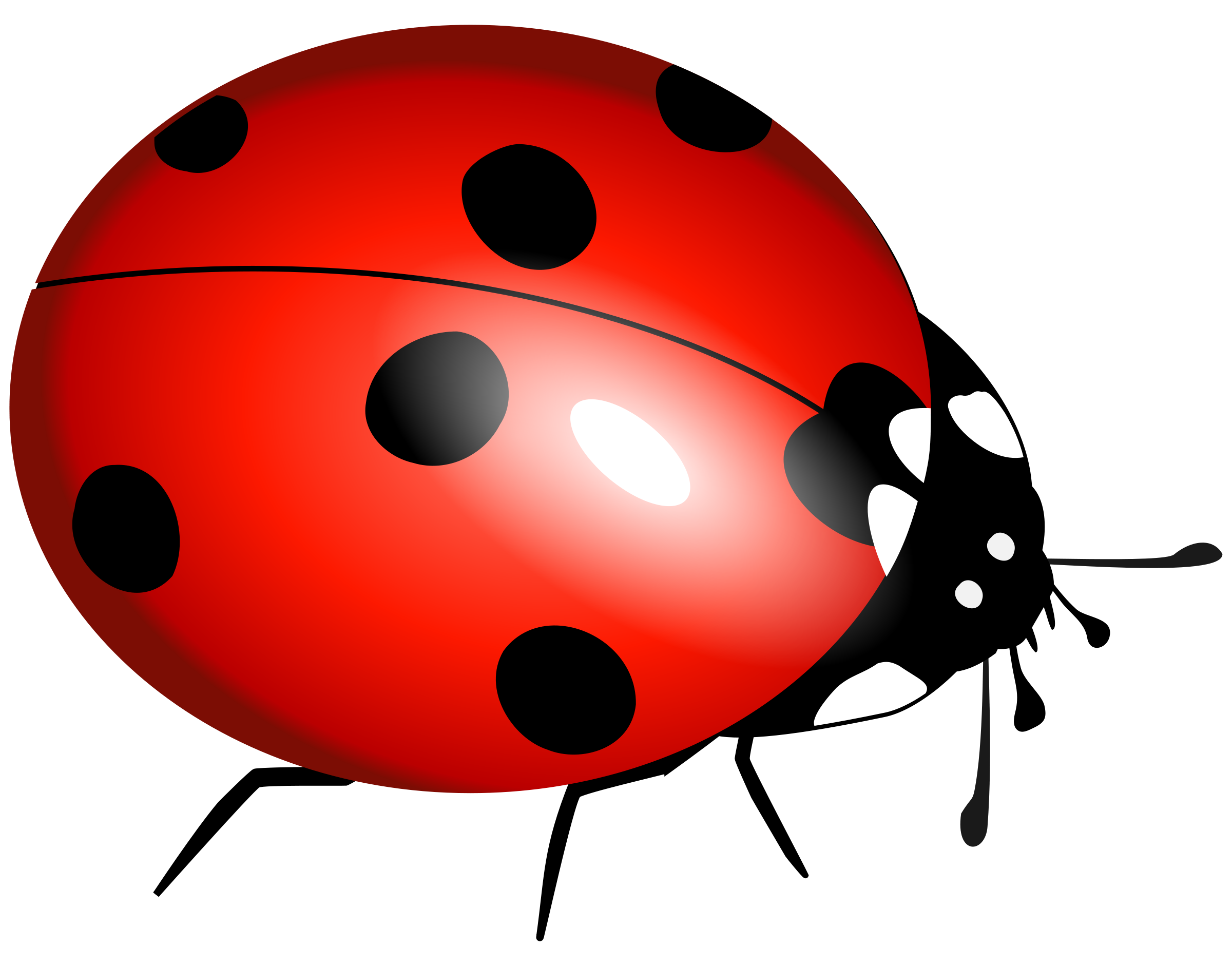 Ladybug flying clipart.