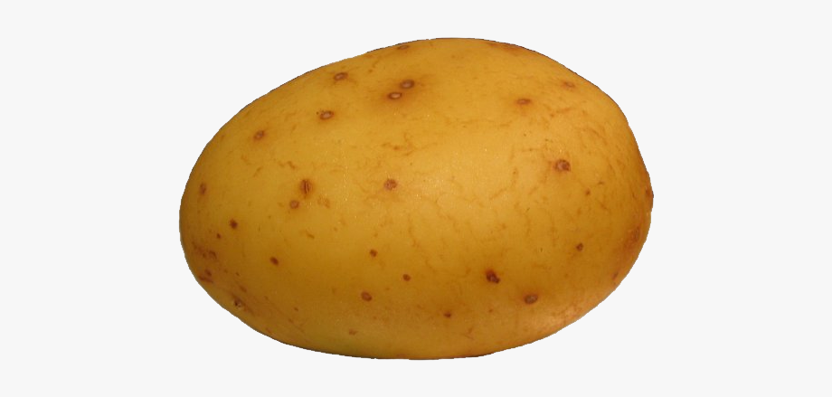 Potato Clipart Free