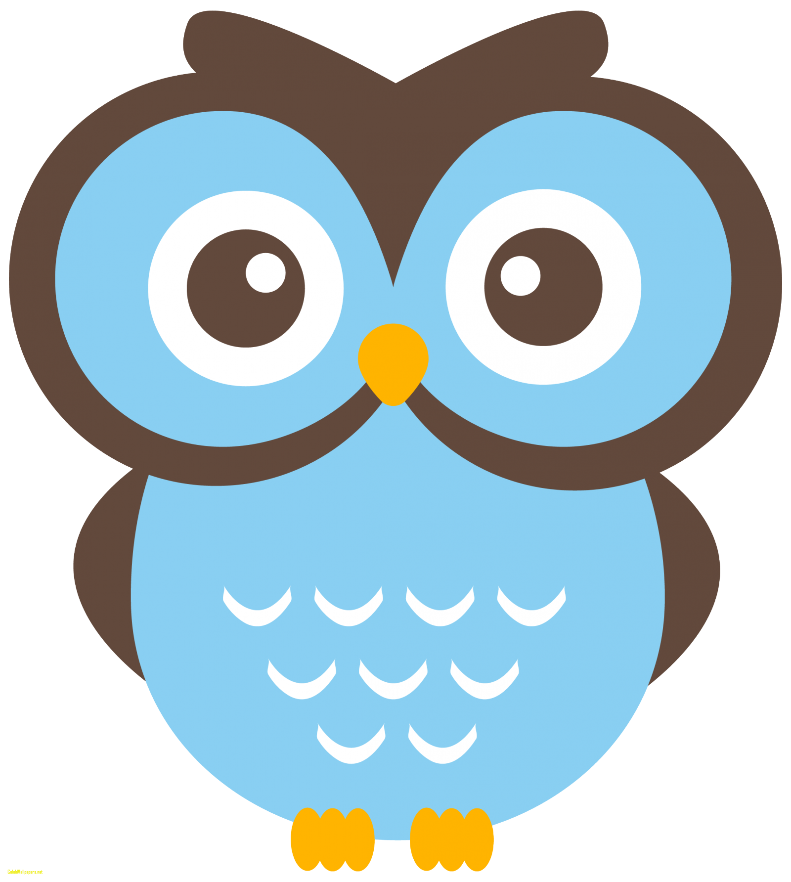Owl mathematics clip.