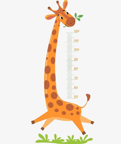 Giraffe Measure Height, Giraffe Clipart, Cartoon, Ruler PNG