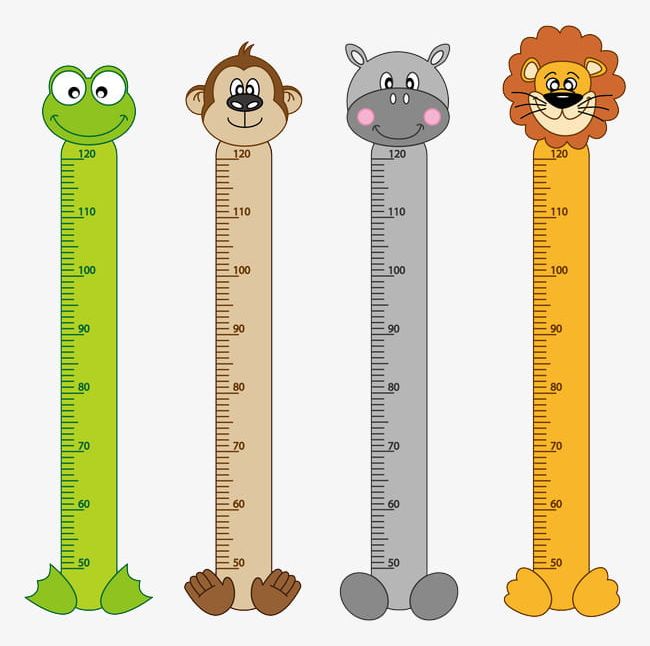 Child height measuring.