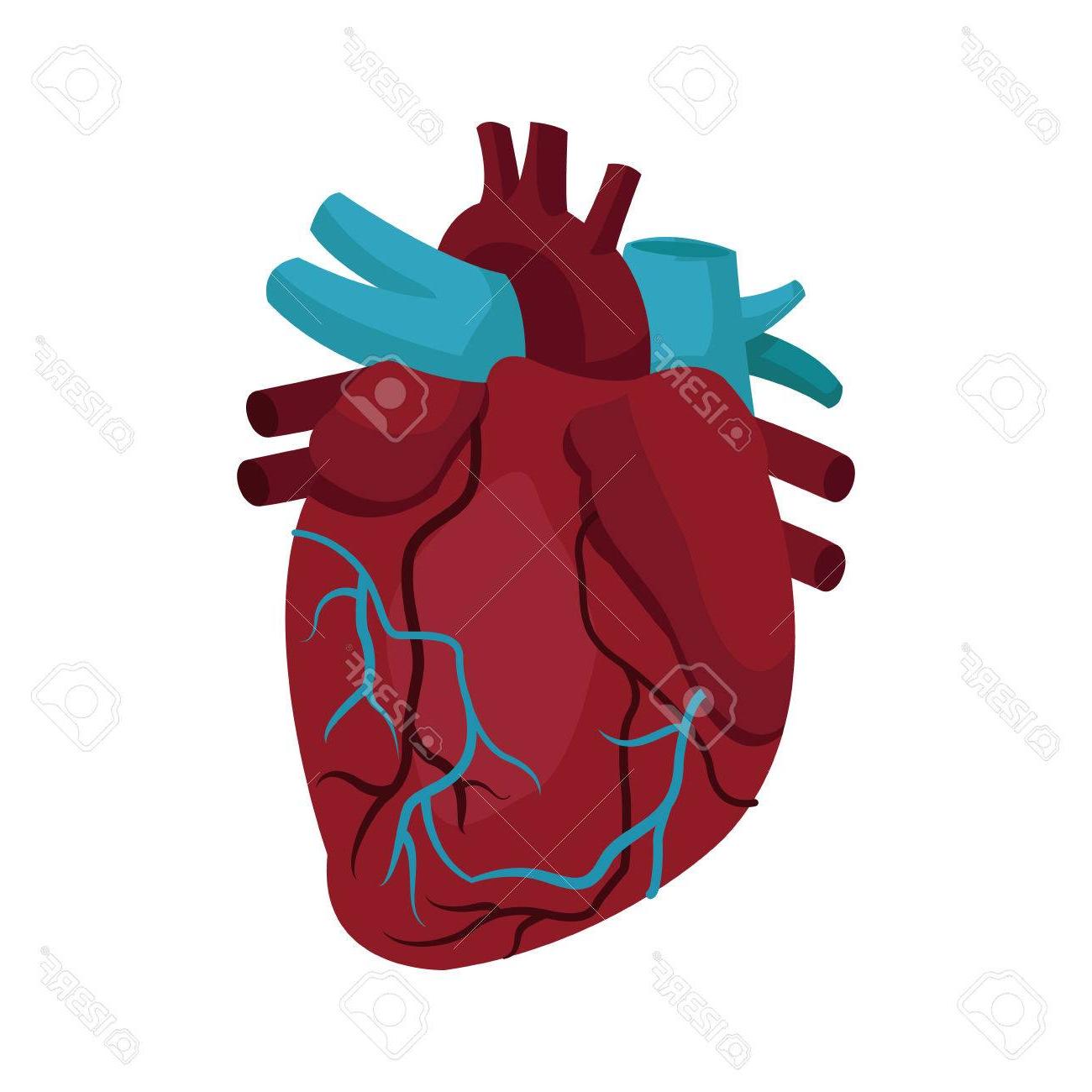 Best Medical Heart Vector Library