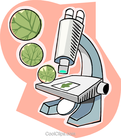 Microscope, biology Royalty Free Vector Clip Art