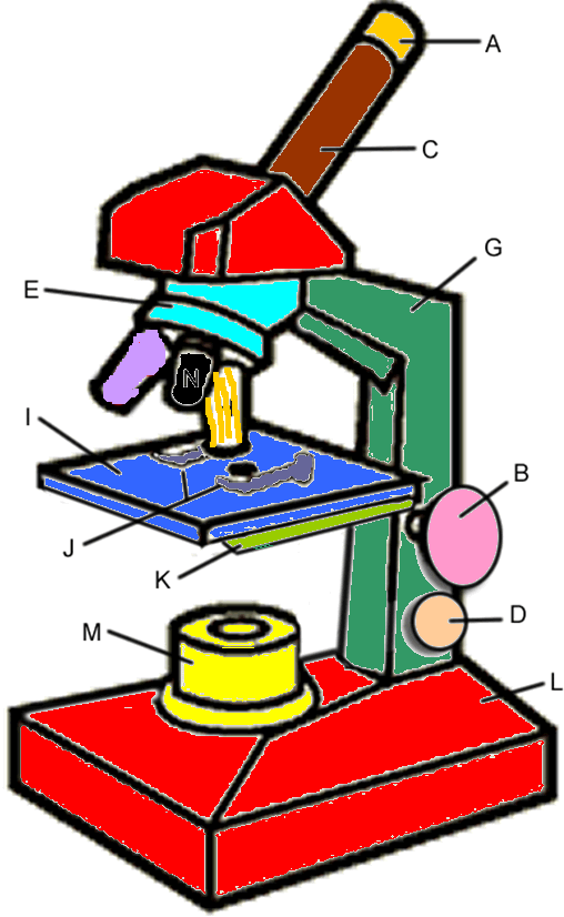 microscope clipart colorful