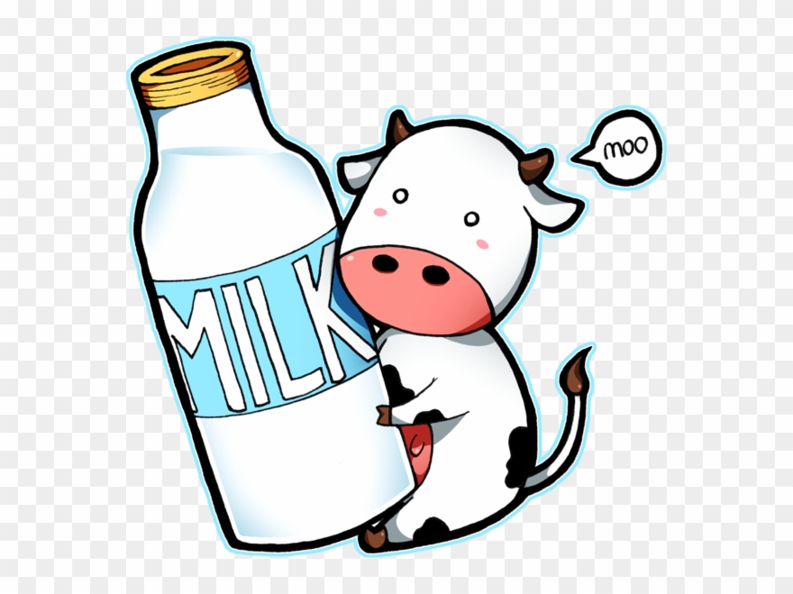 Drawing cow milk.