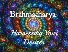 Brahmacharya 4th yama.