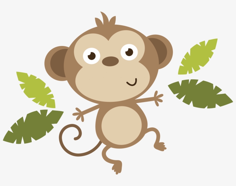 Baby monkey png.