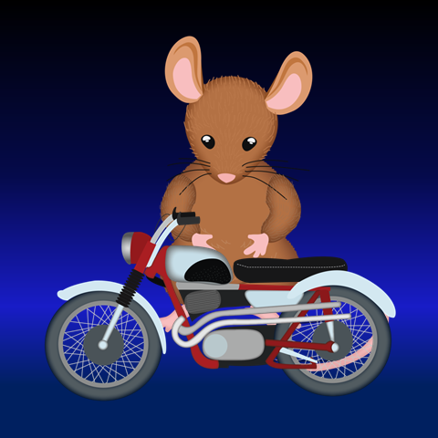 Teaching The Mouse and the Motorcycle