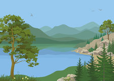 Landscape with trees and mountain lake illustration cliparts