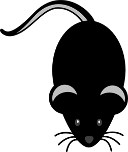 Black mouse png.