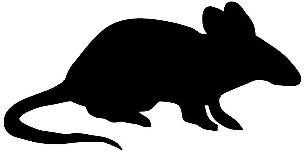 Free Mouse Pictures, Download Free Clip Art, Free Clip Art