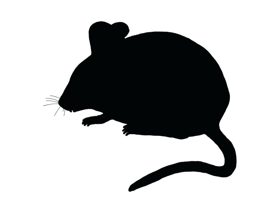 Mini mouse clipart
