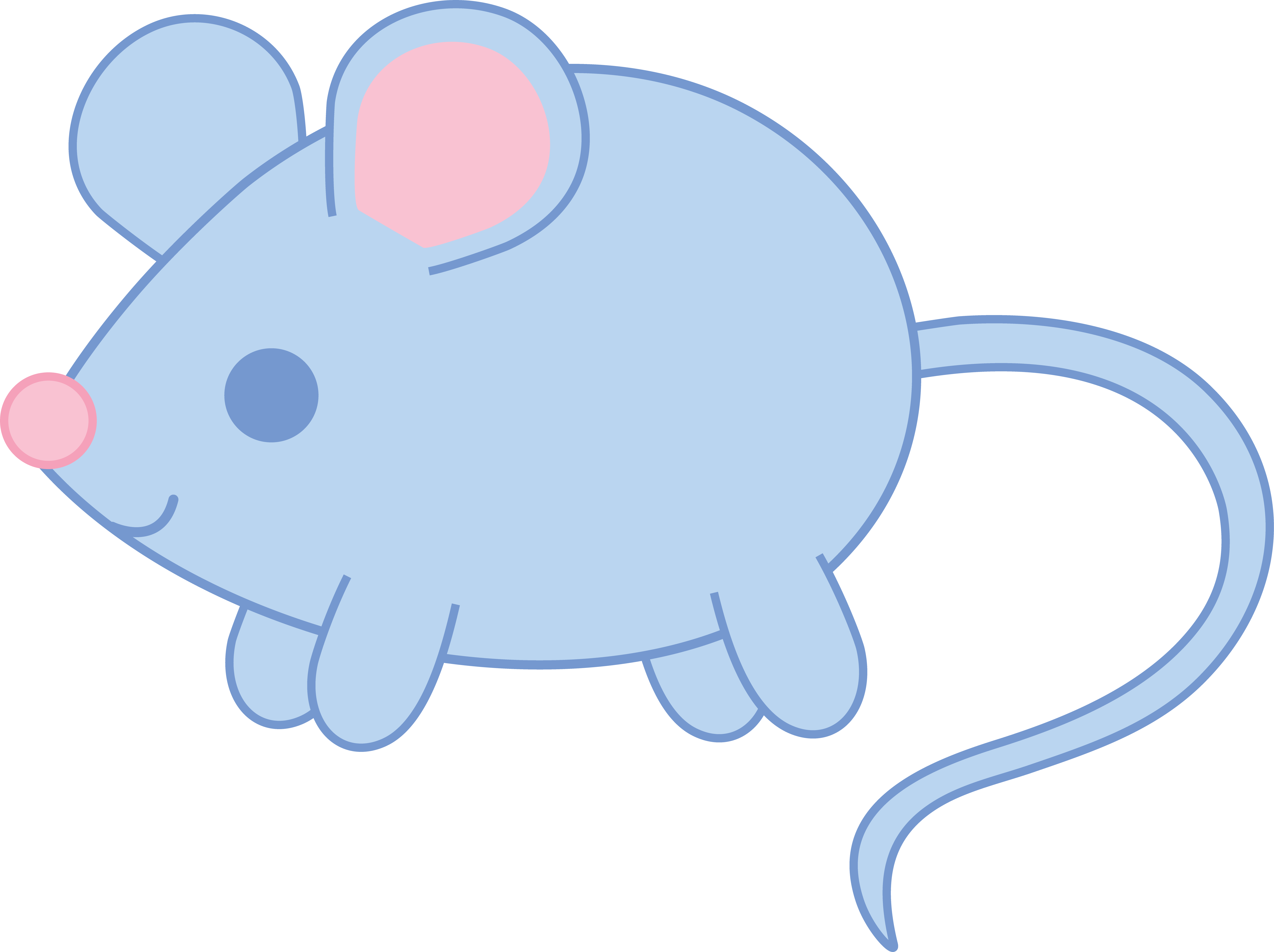 Baby blue mouse.