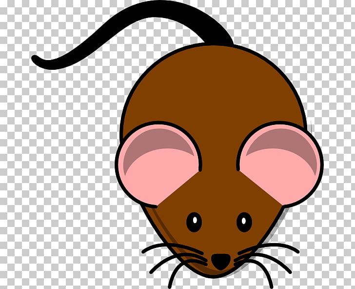 Computer mouse rat.
