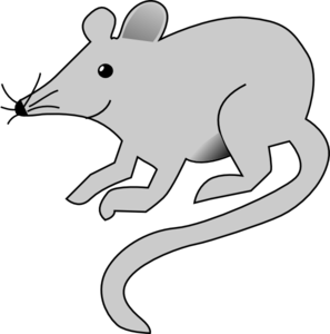 Simple gray mouse.