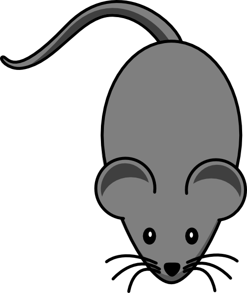 Mouse dark grey.
