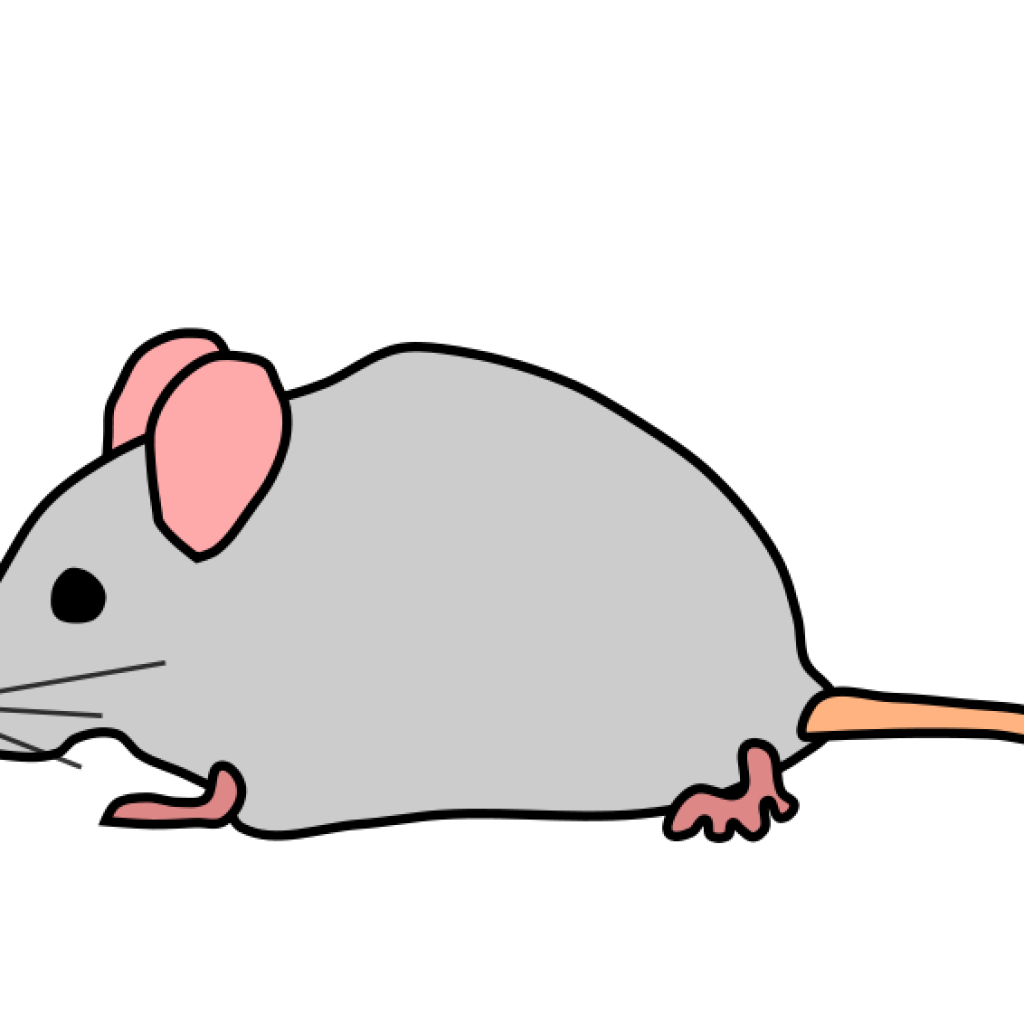 Mouse clipart grey.