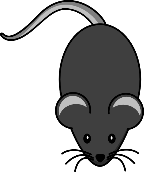 Light grey mouse.