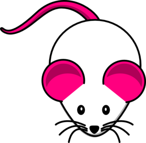 Pink white mouse.