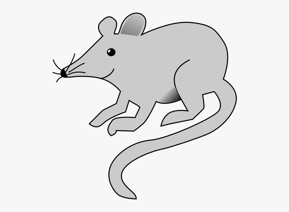 Free Rat Clip Art