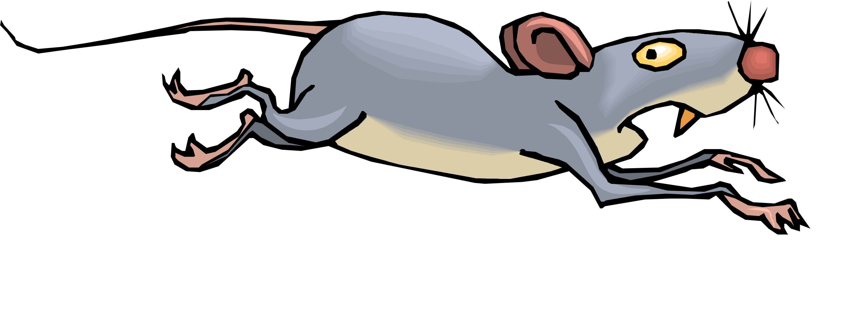 Free Mouse Running Cliparts, Download Free Clip Art, Free