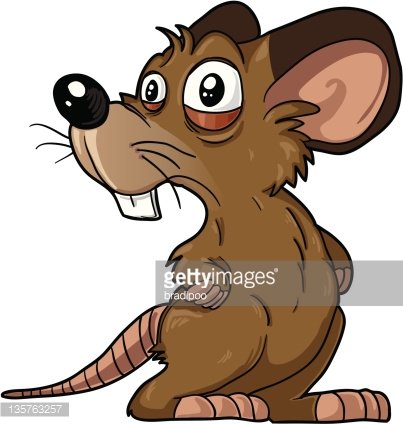 Scared brown mouse.